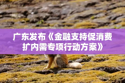 广东发布《金融支持促消费扩内需专项行动方案》
