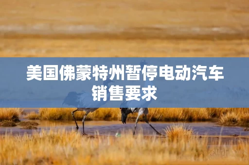 美国佛蒙特州暂停电动汽车销售要求