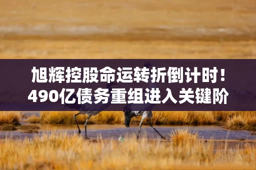 旭辉控股命运转折倒计时！490亿债务重组进入关键阶段，林中：未来或向美国铁狮门转型