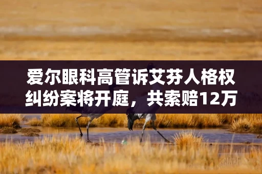 爱尔眼科高管诉艾芬人格权纠纷案将开庭，共索赔12万