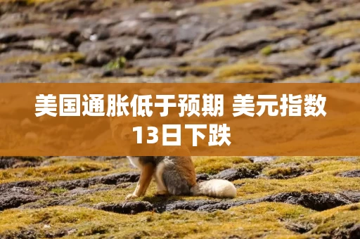 美国通胀低于预期 美元指数13日下跌