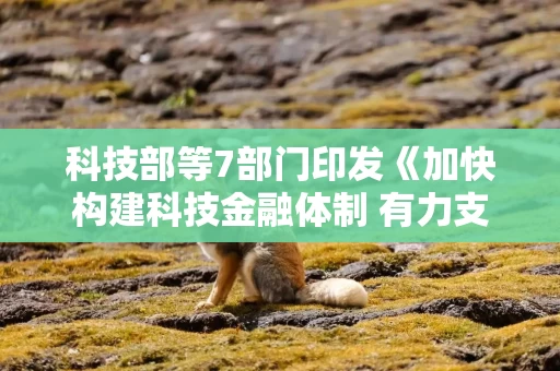 科技部等7部门印发《加快构建科技金融体制 有力支撑高水平科技自立自强的若干政策举措》（全文）