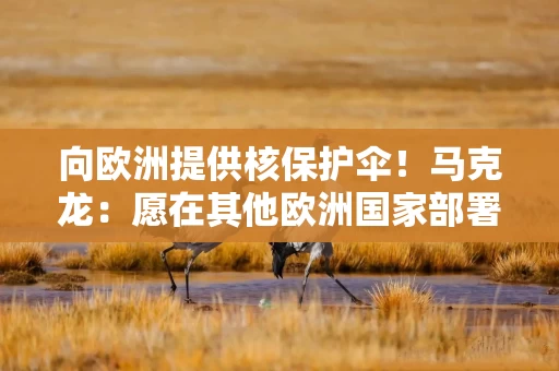 向欧洲提供核保护伞！马克龙：愿在其他欧洲国家部署法国核武器