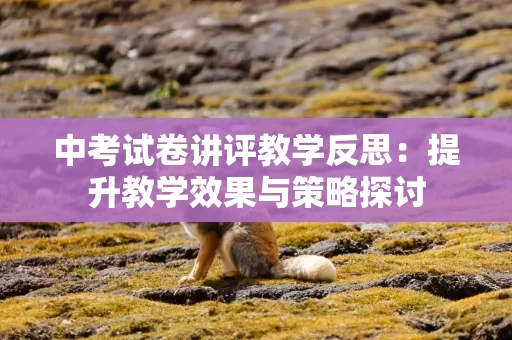 中考试卷讲评教学反思：提升教学效果与策略探讨