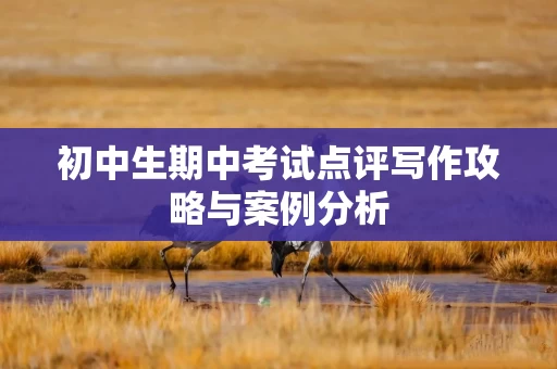 初中生期中考试点评写作攻略与案例分析