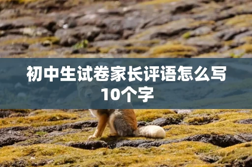 初中生试卷家长评语怎么写10个字