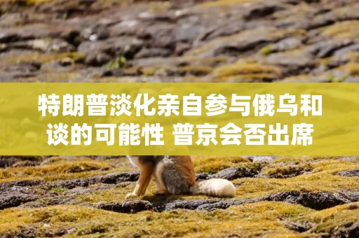 特朗普淡化亲自参与俄乌和谈的可能性 普京会否出席仍是谜
