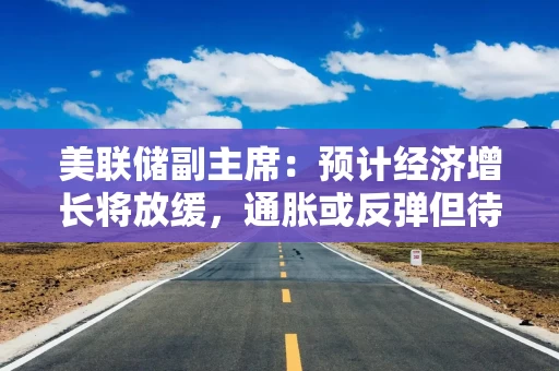 美联储副主席：预计经济增长将放缓，通胀或反弹但待观察
