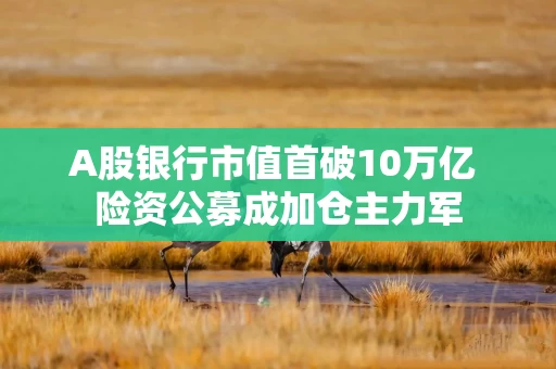 A股银行市值首破10万亿 险资公募成加仓主力军