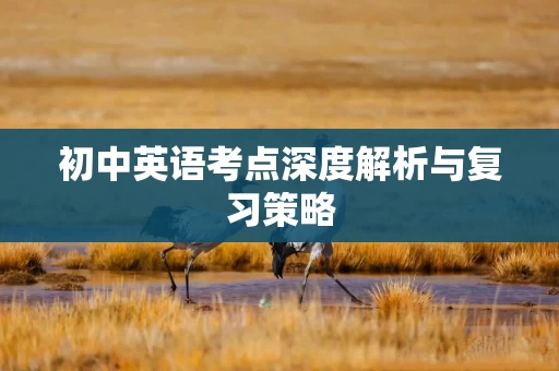 初中英语考点深度解析与复习策略
