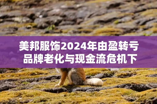 美邦服饰2024年由盈转亏 品牌老化与现金流危机下的经营困局