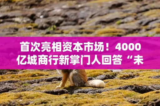 首次亮相资本市场！4000亿城商行新掌门人回答“未来之问”