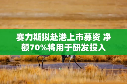 赛力斯拟赴港上市募资 净额70%将用于研发投入