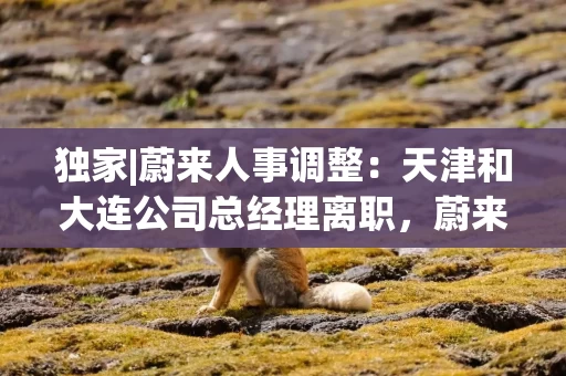 独家|蔚来人事调整：天津和大连公司总经理离职，蔚来乐道渠道架构加速融合