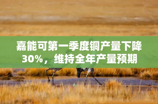 嘉能可第一季度铜产量下降30%，维持全年产量预期