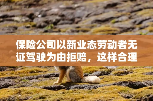 保险公司以新业态劳动者无证驾驶为由拒赔，这样合理？听法官分析