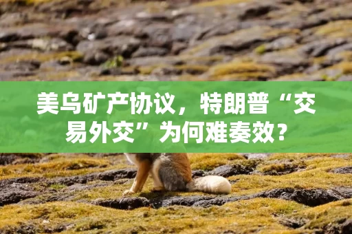 美乌矿产协议，特朗普“交易外交”为何难奏效？