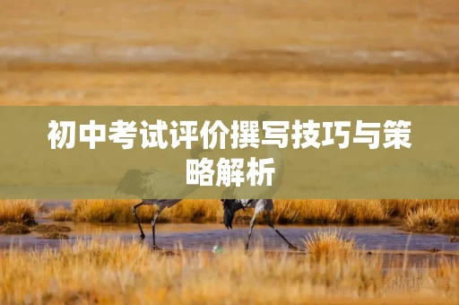 初中考试评价撰写技巧与策略解析