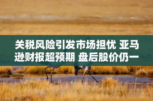 关税风险引发市场担忧 亚马逊财报超预期 盘后股价仍一度跌5%