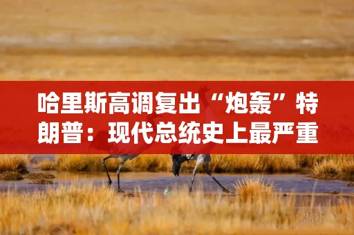 哈里斯高调复出“炮轰”特朗普：现代总统史上最严重的人为经济危机