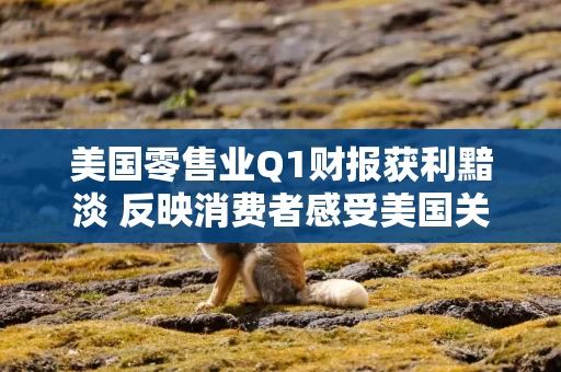 美国零售业Q1财报获利黯淡 反映消费者感受美国关税冲击