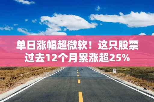 单日涨幅超微软！这只股票过去12个月累涨超25%