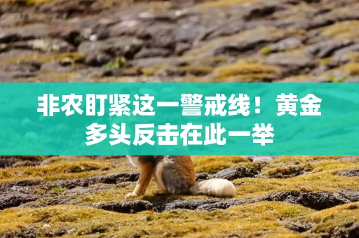 非农盯紧这一警戒线！黄金多头反击在此一举