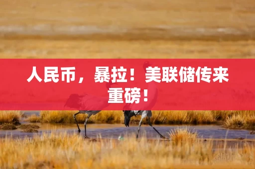 人民币，暴拉！美联储传来重磅！