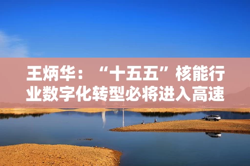王炳华：“十五五”核能行业数字化转型必将进入高速发展期