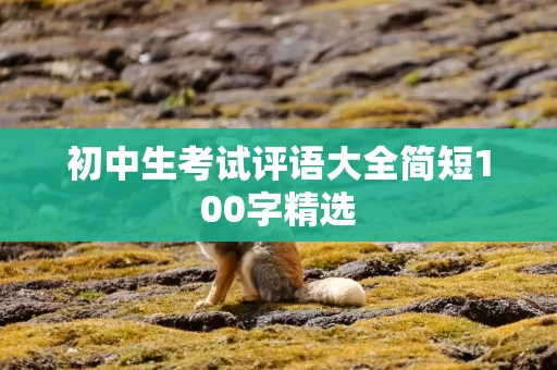初中生考试评语大全简短100字精选