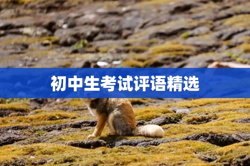 初中生考试评语精选
