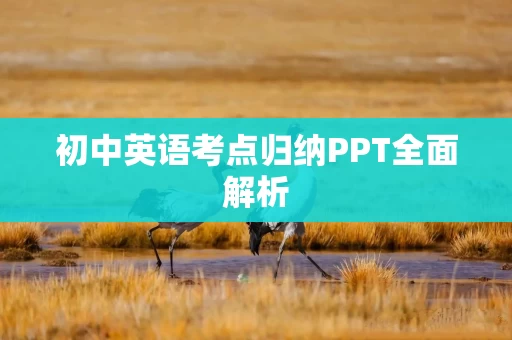 初中英语考点归纳PPT全面解析
