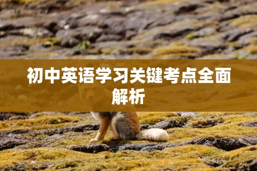 初中英语学习关键考点全面解析