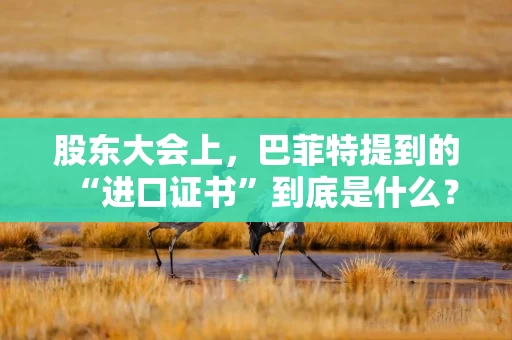 股东大会上，巴菲特提到的“进口证书”到底是什么？