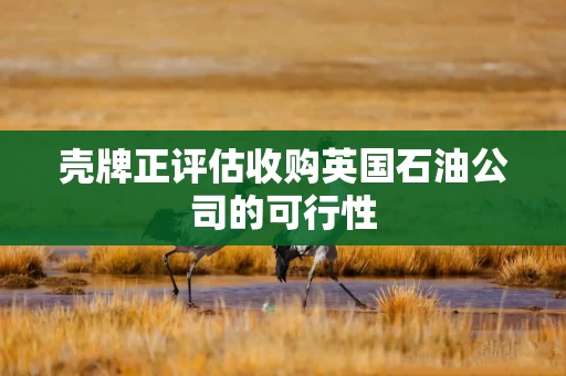 壳牌正评估收购英国石油公司的可行性