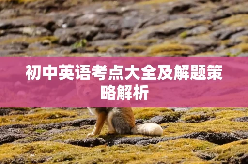 初中英语考点大全及解题策略解析