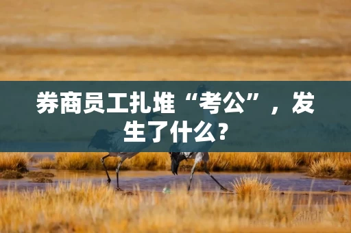 券商员工扎堆“考公”，发生了什么？