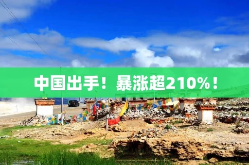 中国出手！暴涨超210%！