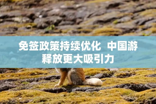 免签政策持续优化  中国游释放更大吸引力