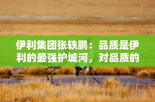 伊利集团张轶鹏：品质是伊利的最强护城河，对品质的坚守是伊利最根本的长期主义