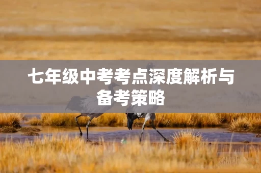 七年级中考考点深度解析与备考策略