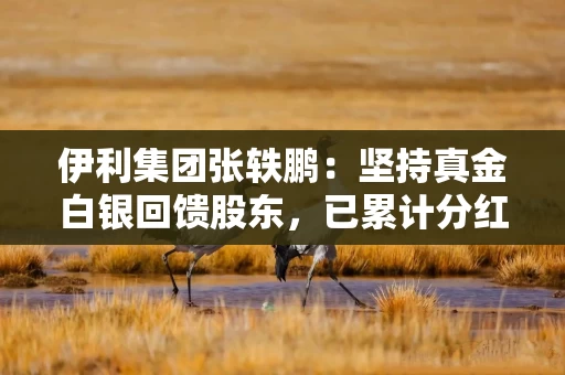 伊利集团张轶鹏：坚持真金白银回馈股东，已累计分红508亿元，位列中国乳企第一