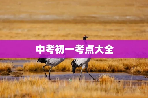 中考初一考点大全