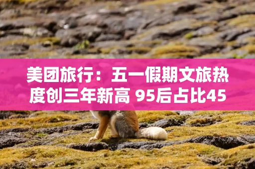 美团旅行：五一假期文旅热度创三年新高 95后占比45％