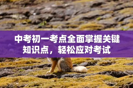中考初一考点全面掌握关键知识点，轻松应对考试