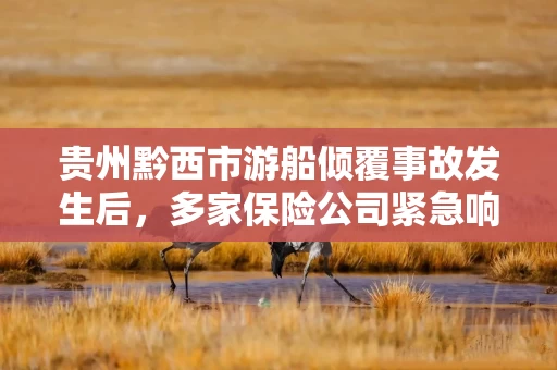 贵州黔西市游船倾覆事故发生后，多家保险公司紧急响应