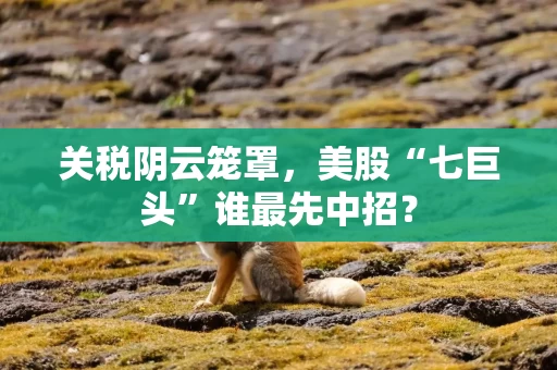 关税阴云笼罩，美股“七巨头”谁最先中招？