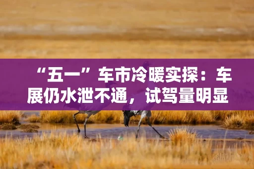 “五一”车市冷暖实探：车展仍水泄不通，试驾量明显提升