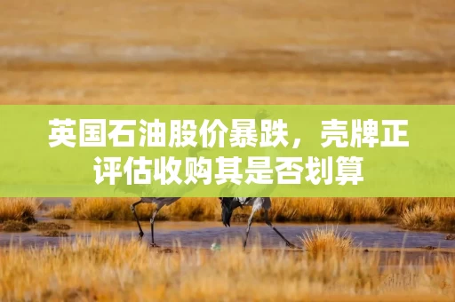 英国石油股价暴跌，壳牌正评估收购其是否划算
