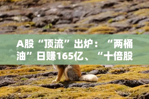 A股“顶流”出炉：“两桶油”日赚165亿、“十倍股”正丹股份净利大增120倍